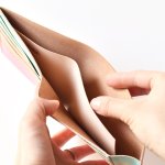 画像8: Berry Berry（ホックの二つ折り財布）外側・内側の仕様変更 (8)