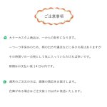 画像18: the Black（三つ折り長財布） (18)